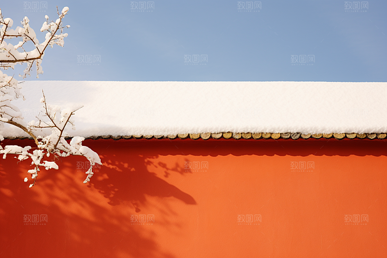 冬天腊梅花花卉中国风摄影图