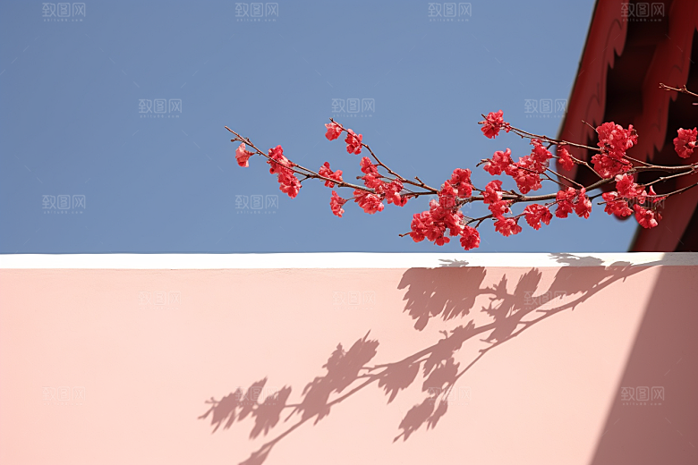 冬天腊梅花新中式寒冷摄影图