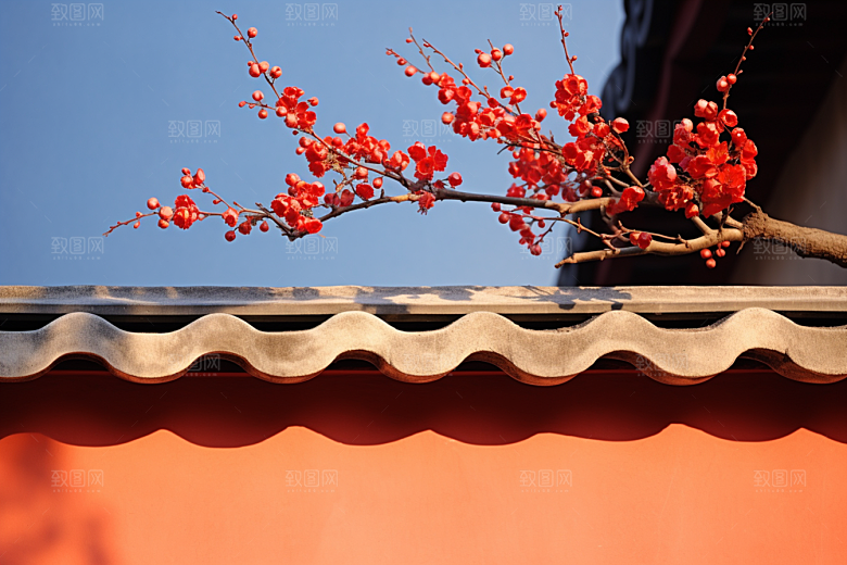 冬天腊梅花优雅新中式摄影图