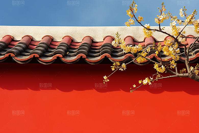 冬天腊梅花冬季寒冷摄影图
