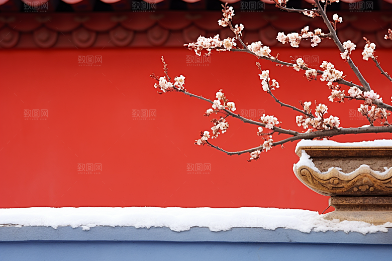 冬天腊梅花冬季寒冷摄影图