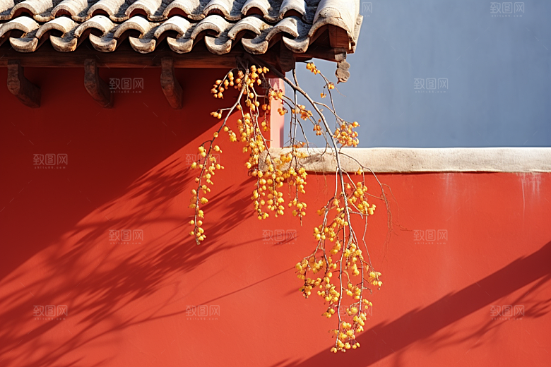 冬天腊梅花花卉园林摄影图