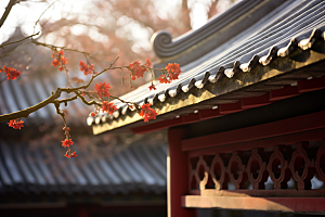 冬天腊梅花高清优雅摄影图