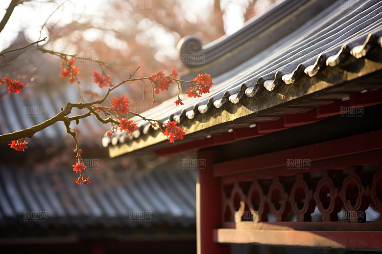 冬天腊梅花高清优雅摄影图