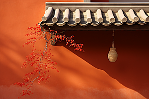 冬天腊梅花花卉传统摄影图