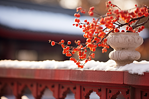冬天腊梅花传统芬芳摄影图