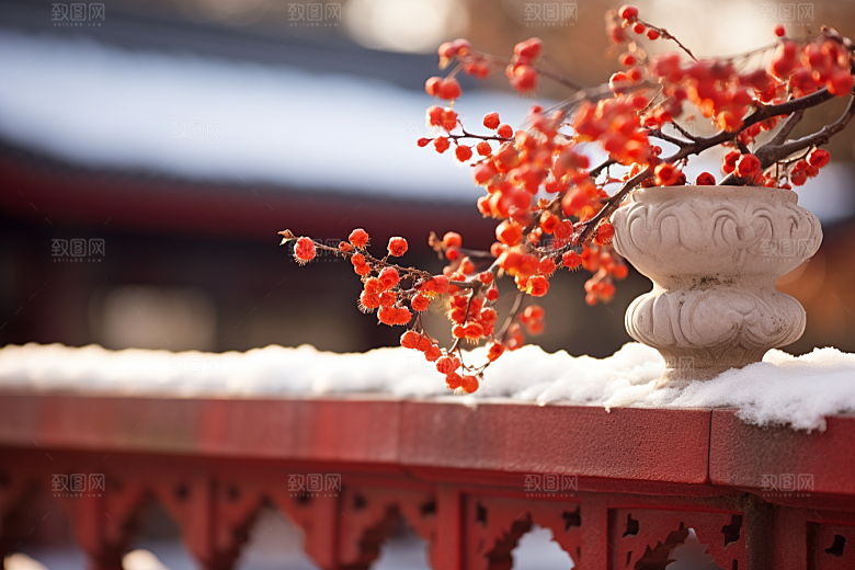 冬天腊梅花传统芬芳摄影图