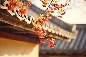 冬天腊梅花自然寒冷摄影图