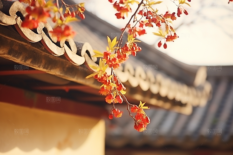 冬天腊梅花自然寒冷摄影图