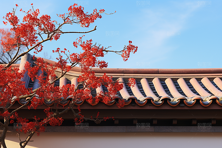 冬天腊梅花新中式花卉摄影图