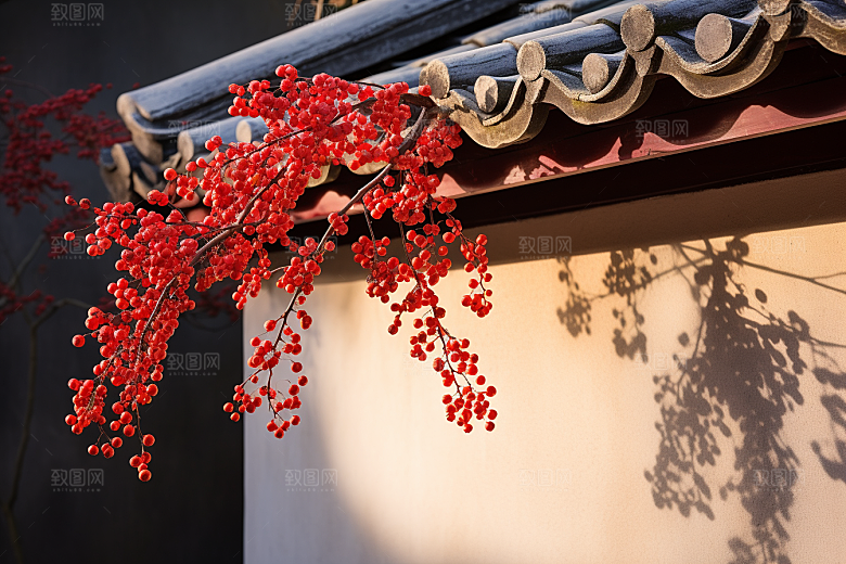 冬天腊梅花花卉芬芳摄影图