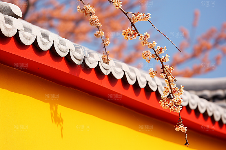 冬天腊梅花优雅中国风摄影图