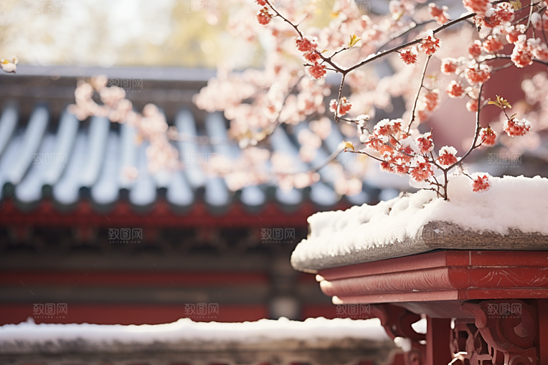 冬天腊梅花园林高清摄影图