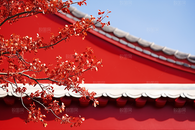 冬天腊梅花寒冷冬季摄影图