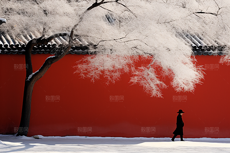 冬天腊梅花芬芳园林摄影图
