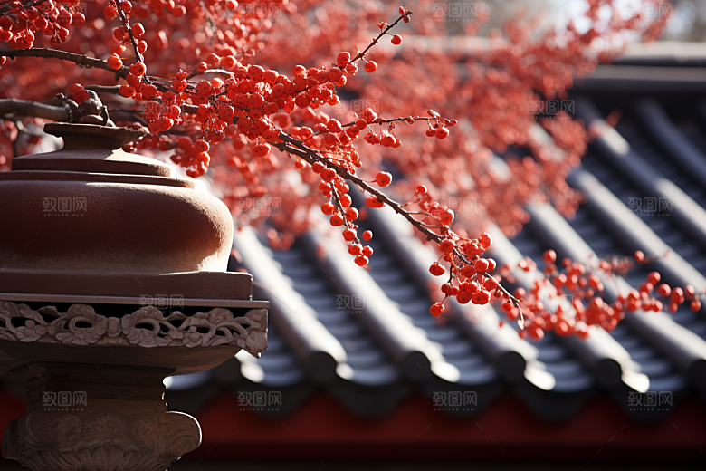 冬天腊梅花优雅园林摄影图