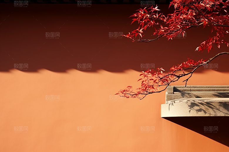 冬天腊梅花中国风新中式摄影图
