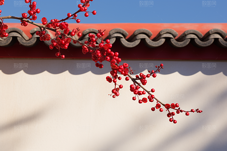 冬天腊梅花高清花卉摄影图