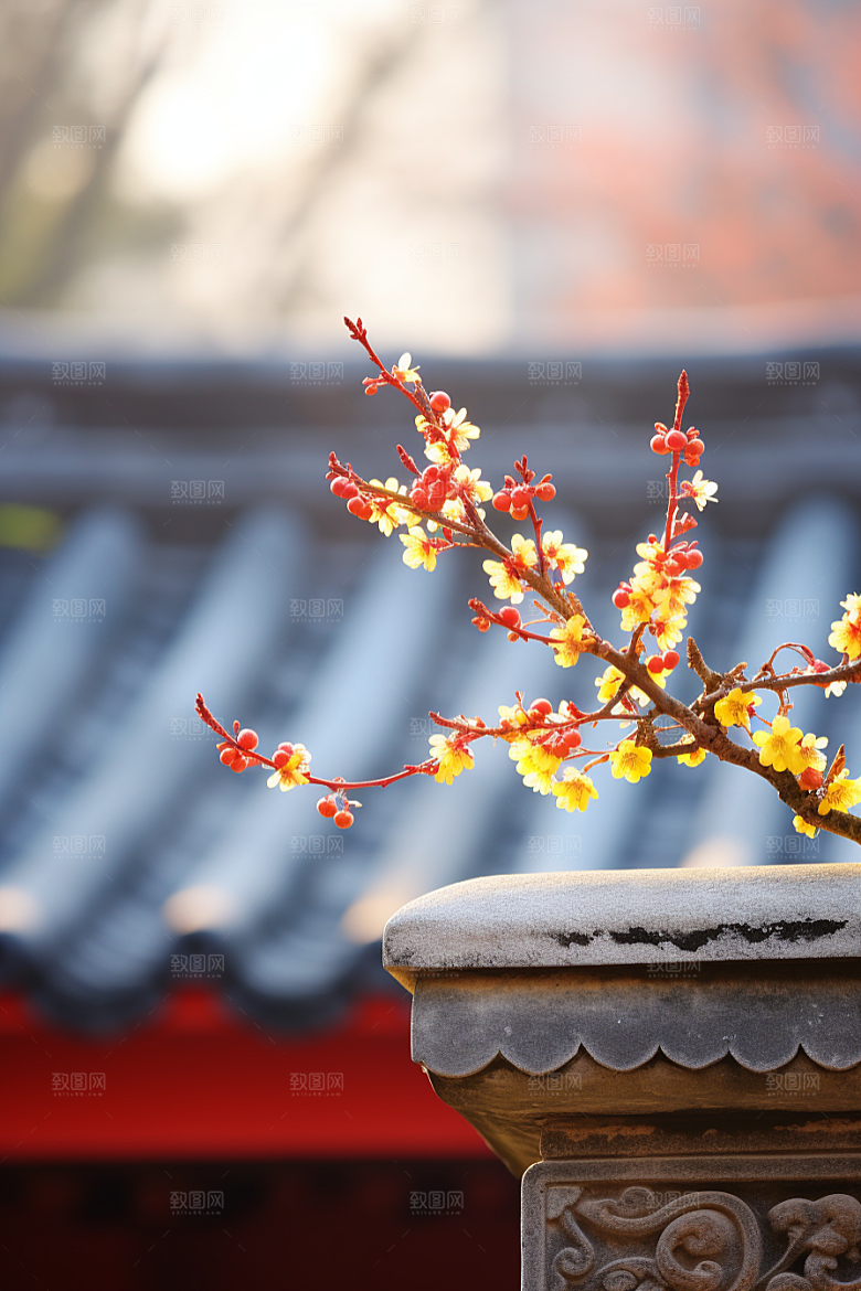 冬天腊梅花芬芳中国风摄影图