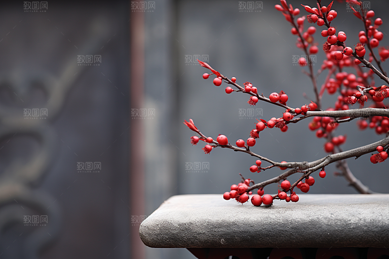 冬天腊梅花芬芳传统摄影图
