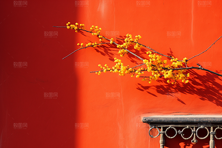 冬天腊梅花植物芬芳摄影图