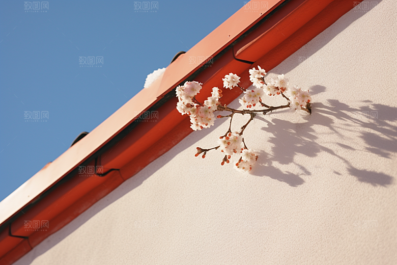 冬天腊梅花寒冷中国风摄影图