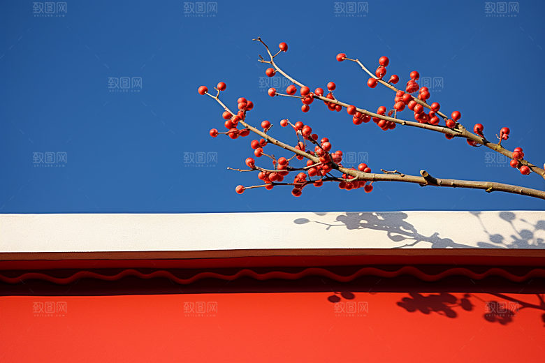 冬天腊梅花自然花卉摄影图