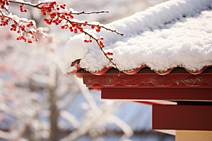 冬天腊梅花冬季中国风摄影图