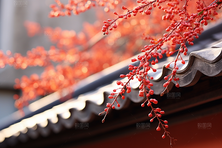 冬天腊梅花新中式自然摄影图