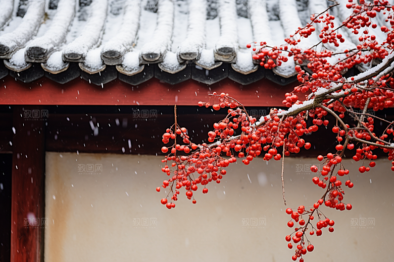 冬天腊梅花花卉寒冷摄影图