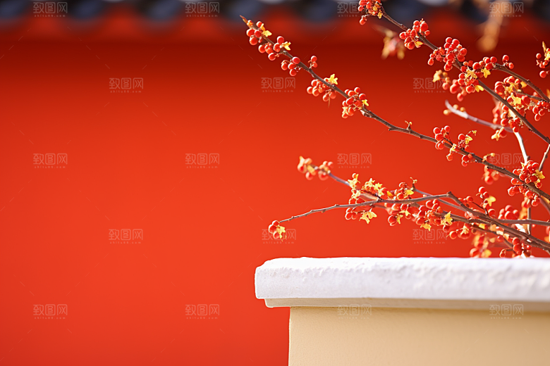 冬天腊梅花中国风花卉摄影图