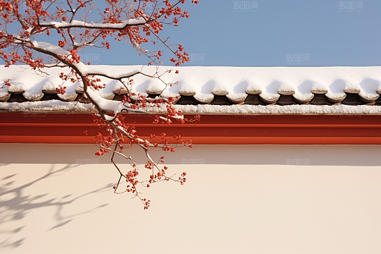 冬天腊梅花园林传统摄影图