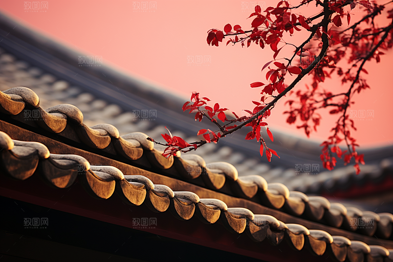 冬天腊梅花高清园林摄影图