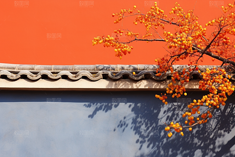 冬天腊梅花冬季中国风摄影图