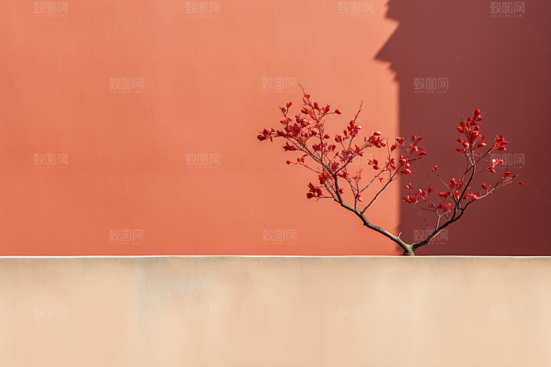 冬天腊梅花园林花卉摄影图