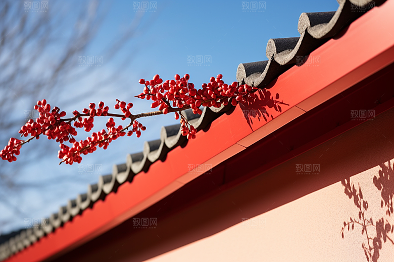 冬天腊梅花花卉寒冷摄影图