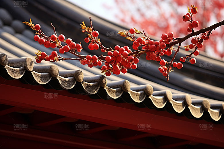 冬天腊梅花花卉优雅摄影图