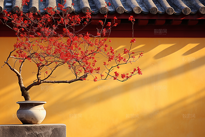冬天腊梅花园林芬芳摄影图