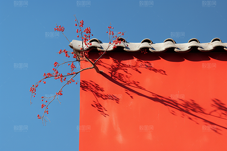 冬天腊梅花芬芳中国风摄影图