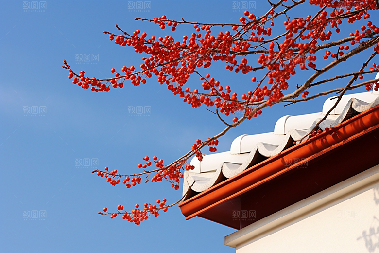 冬天腊梅花新中式芬芳摄影图