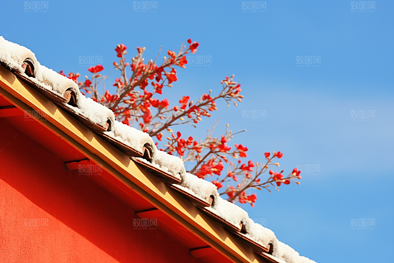 冬天腊梅花冬季高清摄影图