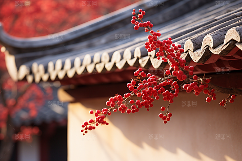 冬天腊梅花寒冷传统摄影图