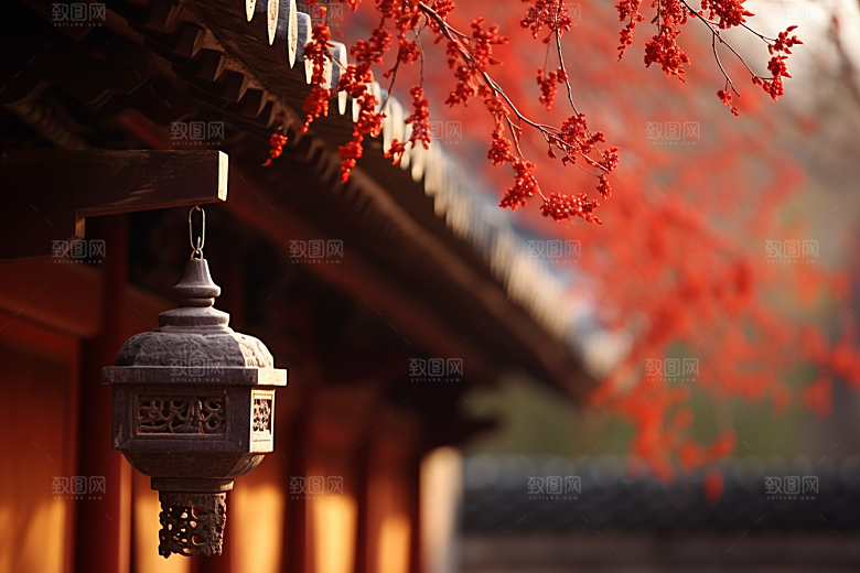 冬天腊梅花高清中国风摄影图