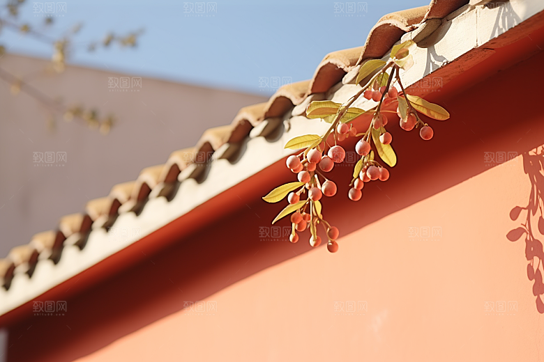 冬天腊梅花传统冬季摄影图