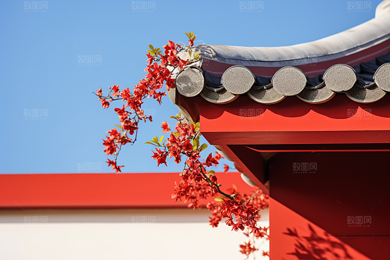 冬天腊梅花寒冷园林摄影图