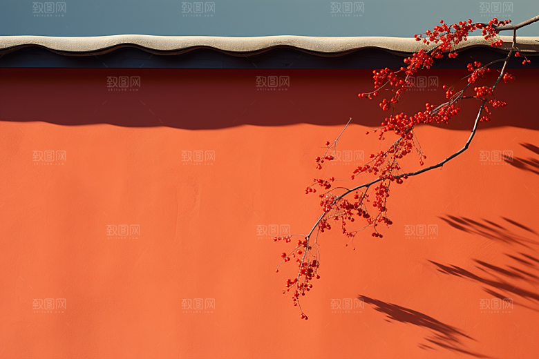 冬天腊梅花优雅中国风摄影图