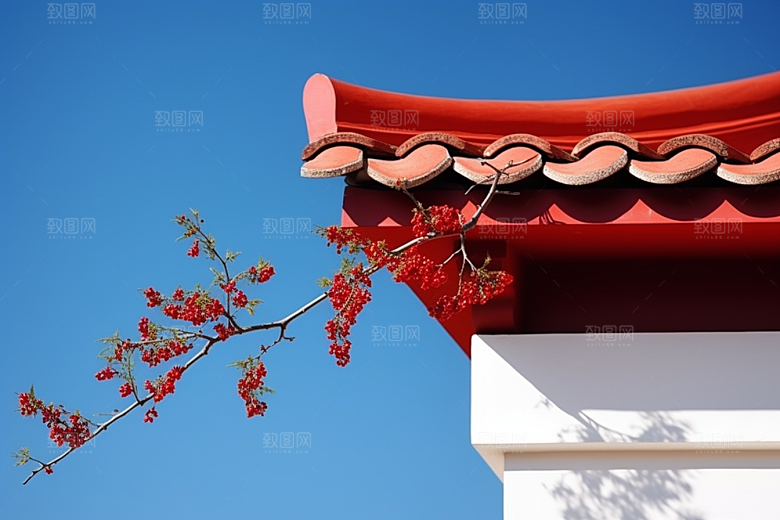 冬天腊梅花寒冷植物摄影图