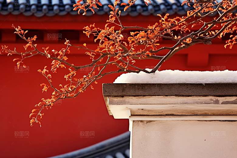 冬天腊梅花自然冬季摄影图
