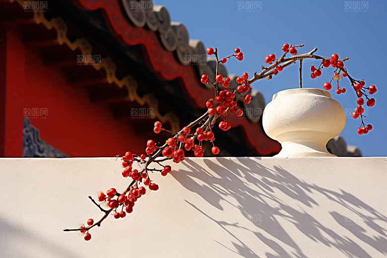 冬天腊梅花优雅冬季摄影图