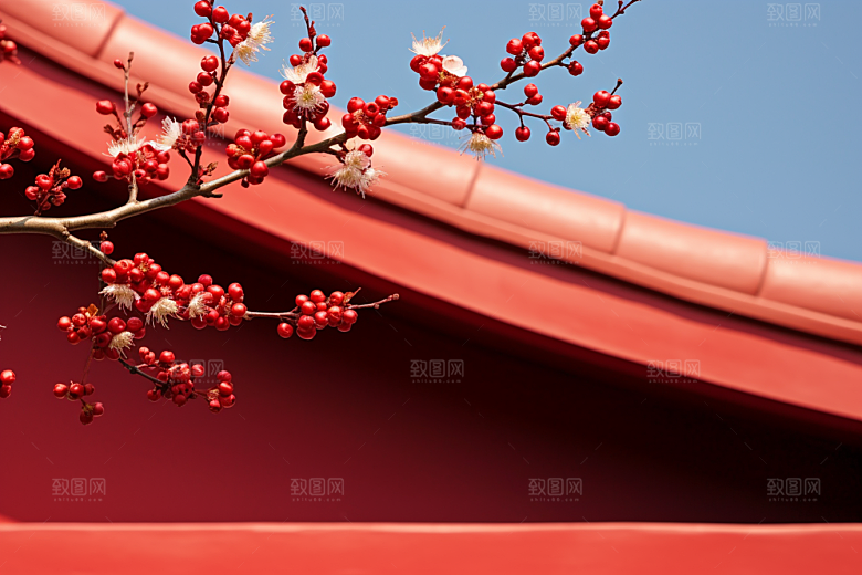 冬天腊梅花新中式自然摄影图